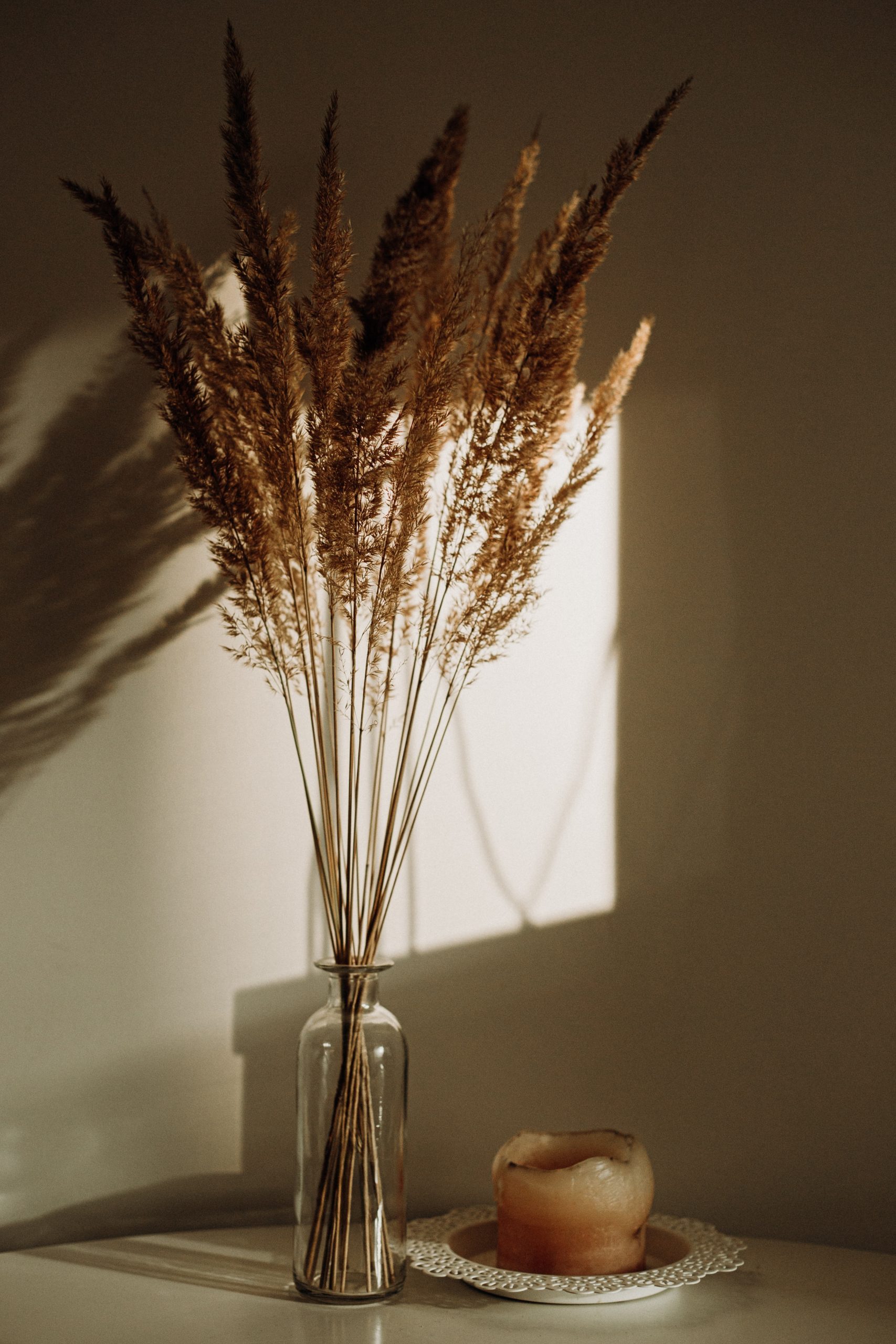 marius-cern-JwgrBeCjjEY-unsplash